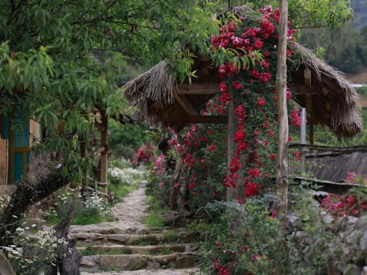 H'Mong Co Tran Sapa Homestay 외부 사진
