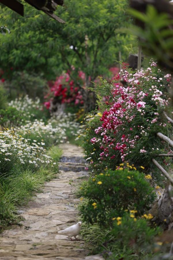 H'Mong Co Tran Sapa Homestay 외부 사진