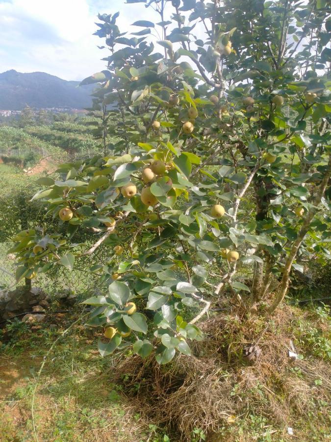 H'Mong Co Tran Sapa Homestay 외부 사진
