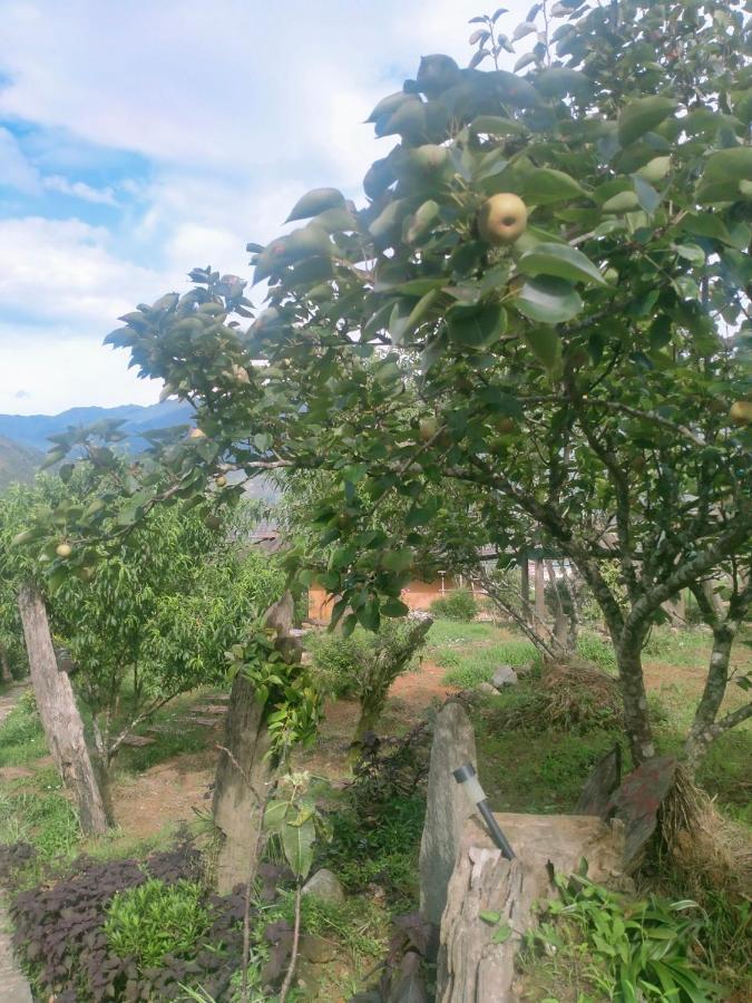 H'Mong Co Tran Sapa Homestay 외부 사진