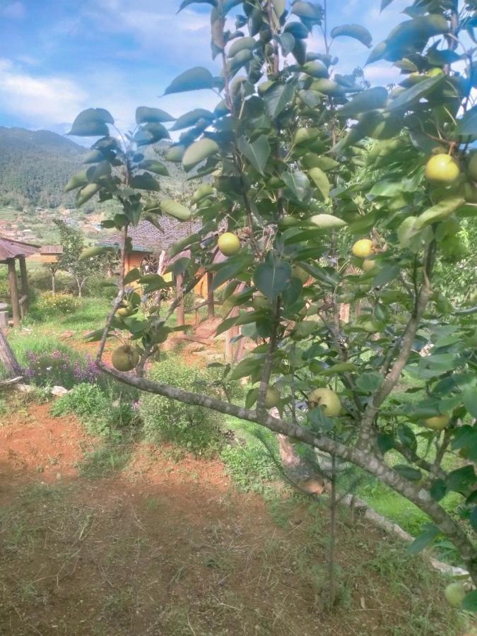 H'Mong Co Tran Sapa Homestay 외부 사진