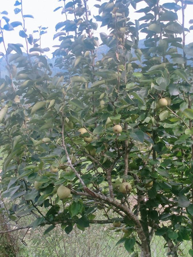 H'Mong Co Tran Sapa Homestay 외부 사진