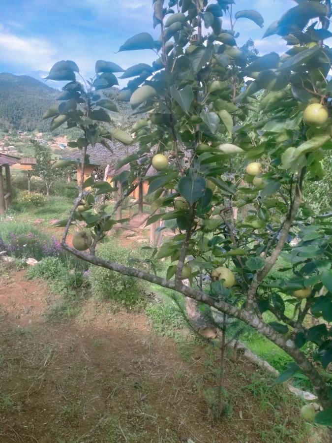 H'Mong Co Tran Sapa Homestay 외부 사진